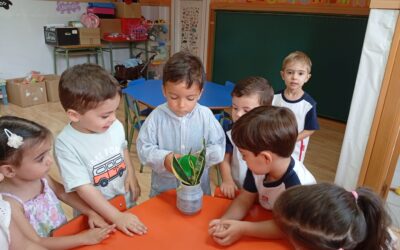 ¡Bienvenidos a una Gran Aventura!