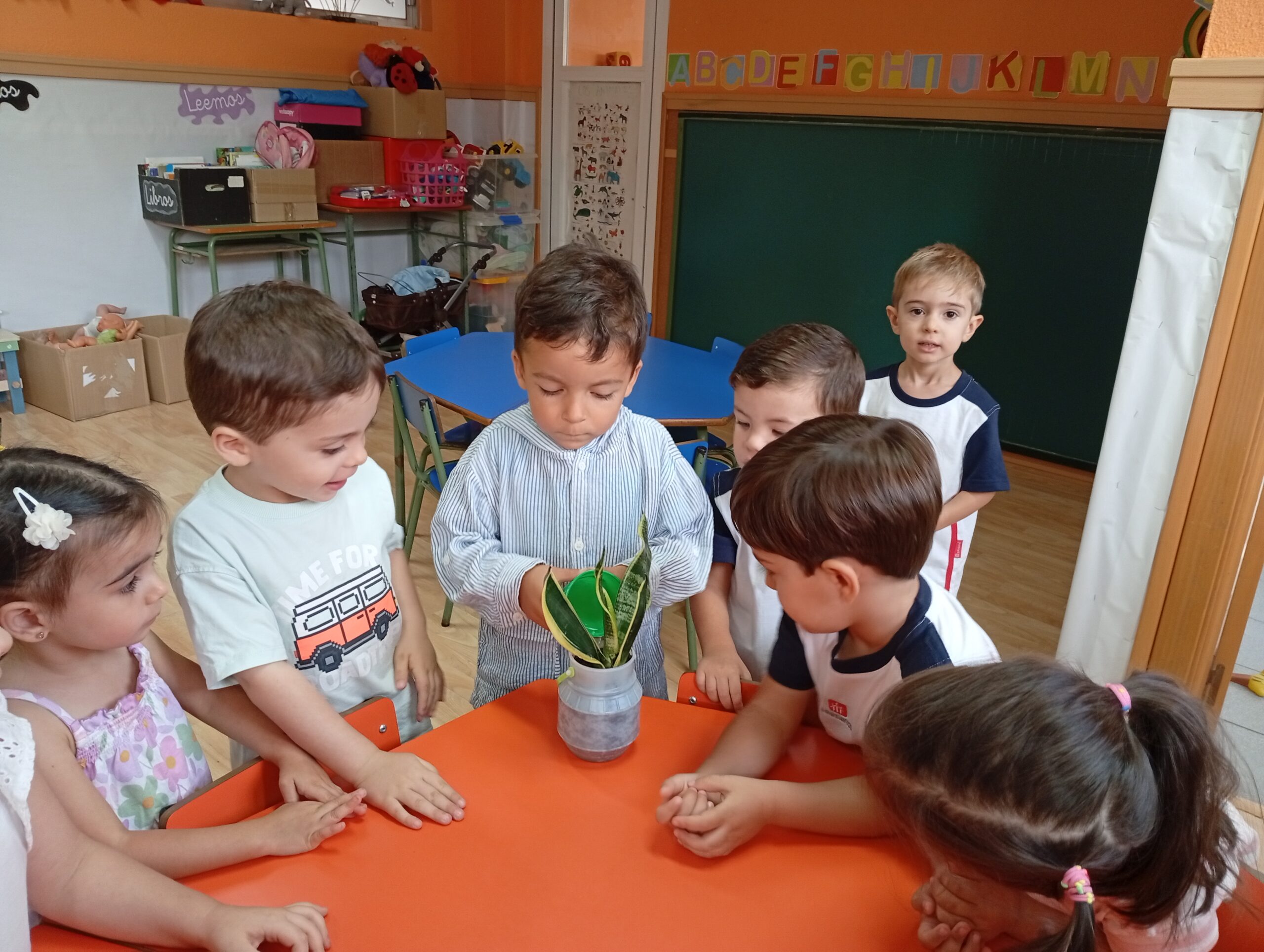 128_Periodo de adaptacion