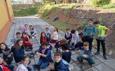 Excursión al Museo Geológico de Santa Marta