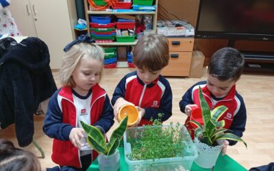 Noviembre en 3 Años: Aprendizaje