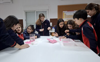 Ciencia compartida entre etapas