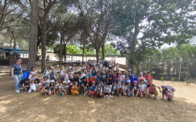 Excursión Primaria primer ciclo al parque multiaventuras