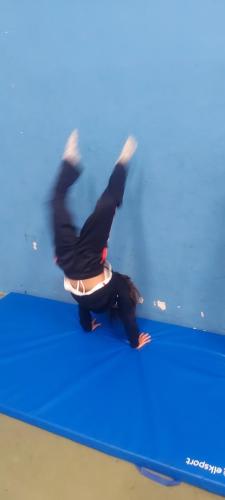 Habilidades-gimnasticas-y-acrobaticas 11