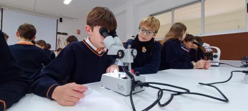 Practicas-de-Microscopio 03
