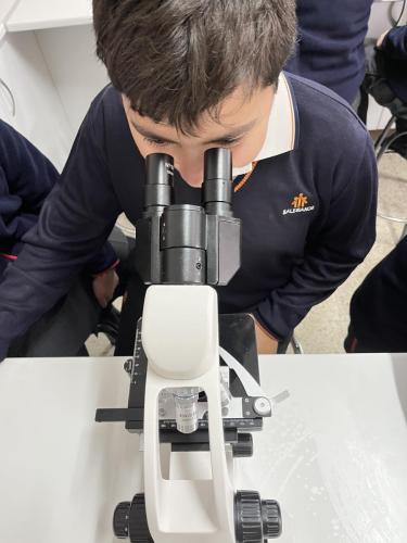 Practicas-de-Microscopio 14
